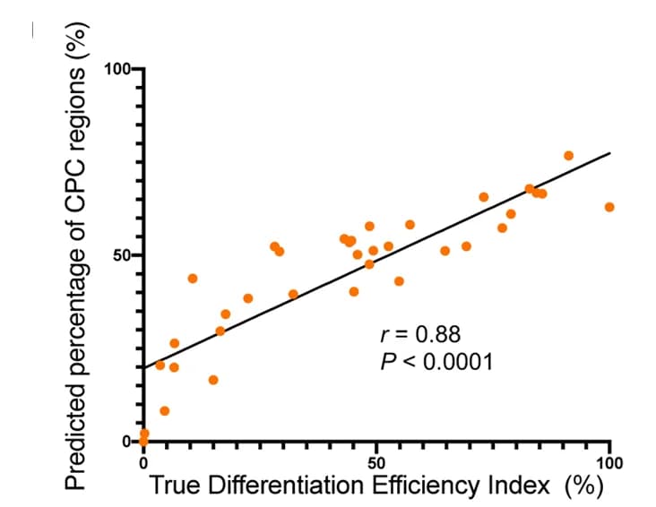 Open access visualization of Scatter Plot, Regression Plot, Differentiation Efficiency Index, cTnT fluorescence, CPC regions