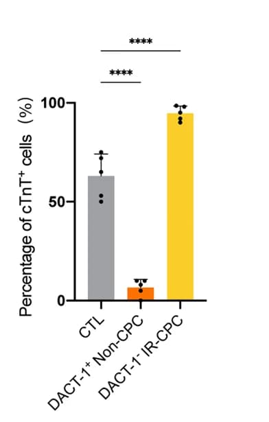 Open access visualization of Bar Plot, Error Bars, cTnT cells, ANOVA, Statistical analysis