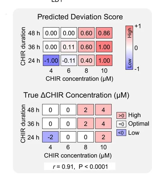 Open access visualization of Heatmap, Deviation Scores, CHIR Concentrations, CHIR Dose, Pearson's r