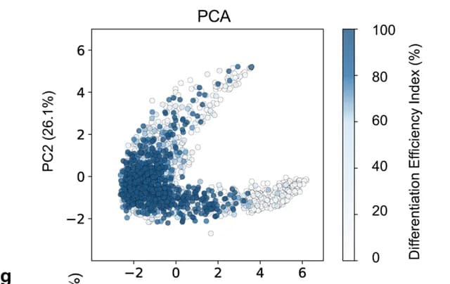 Open access visualization of Scatter Plot, PCA, PCA Plot, Differentiation Efficiency Index, Feature Importance