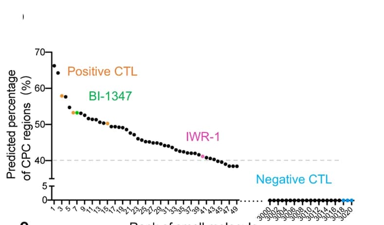 Open access visualization of Line Plot, Small Molecule Screening, CPC Regions, CTL, DMSO