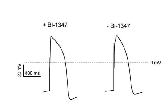 Open access visualization of Line Plot, Action Potential, iPSC-CMs, BI-1347