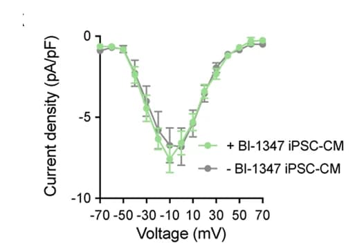 Open access visualization of Line Plot, Error Bars, I-V Plots, I Ca, iPSC-CMs