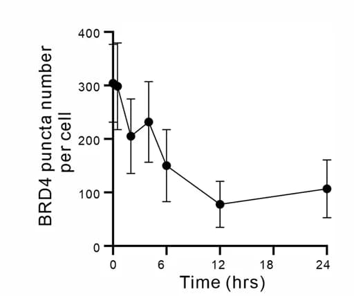 Open access visualization of Line Plot, Error Bars, Time Point Sample, BRD4, Condensate Number