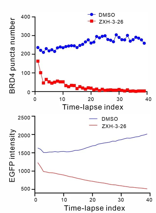 Open access visualization of Line Plot, BRD4 Condensate Number, Fluorescence Intensity, EGFP-BRD4