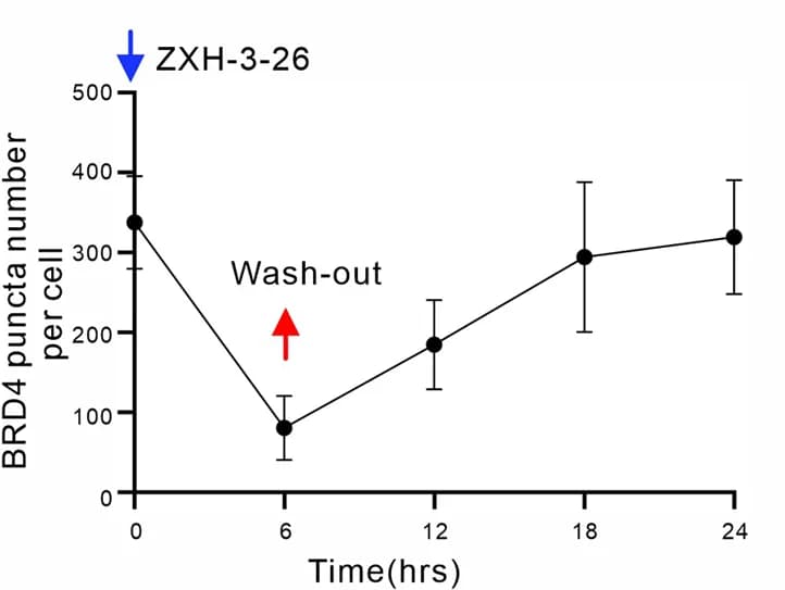 Open access visualization of Line Plot, Error Bars, BRD4 Condensates, Cell Number
