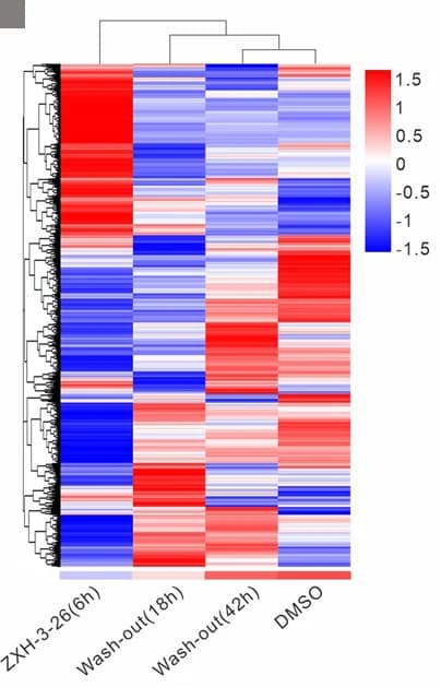Open access visualization of Heatmap, Clustered, Gene Expression, HeLa Cells, Treatment