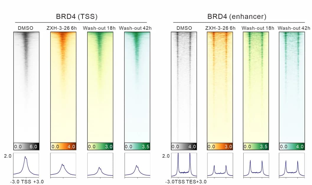 Open access visualization of Heatmap, Line Plot, BRD4 Levels, Transcriptional Start Sites, Enhancer