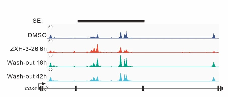 Open access visualization of Line Plot, Density Plot, Gene Track, BRD4, SE-driven Locus