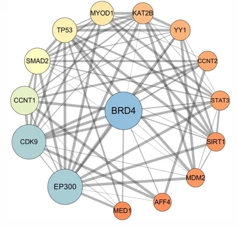 Open access visualization of Network, Pathway, BRD4 Protein