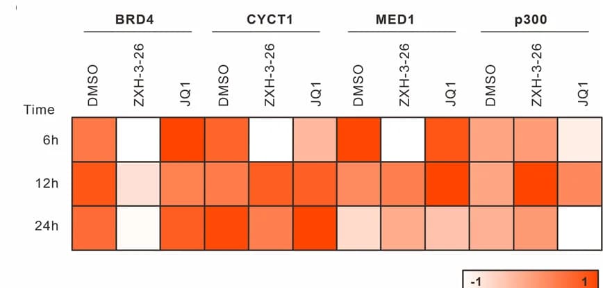 Open access visualization of Heatmap, BRD4, CYCT1, MED1, P300 Condensates