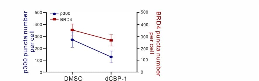 Open access visualization of Line Plot, Error Bars, P300 Condensates, BRD4 Condensates, dCBP-1