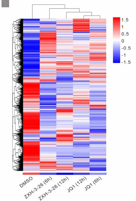 Open access visualization of Heatmap, Clustered, Clustering Heat Map, Gene Expression, JQ1