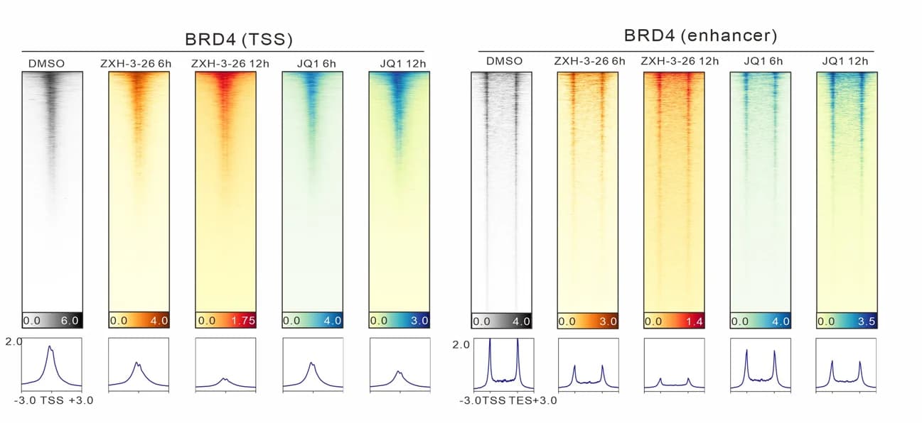 Open access visualization of Heatmap, Line Plot, Heat Map, BRD4, TSS