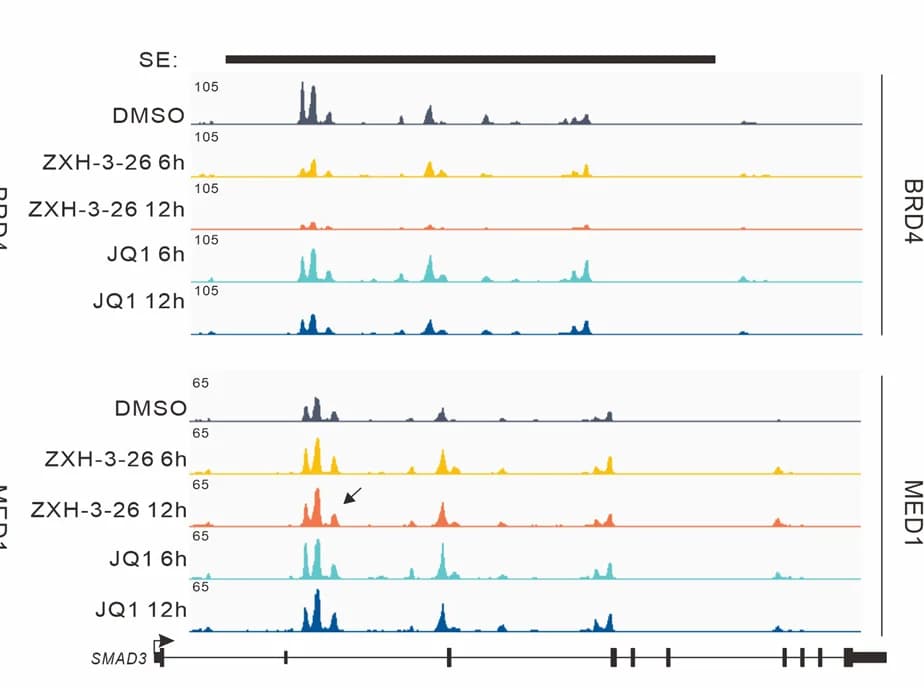 Open access visualization of Line Plot, Gene Track, BRD4, MED1, Promoter