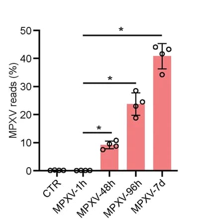 Open access visualization of Bar Plot, Error Bars, MPXV Transcripts, Organoids