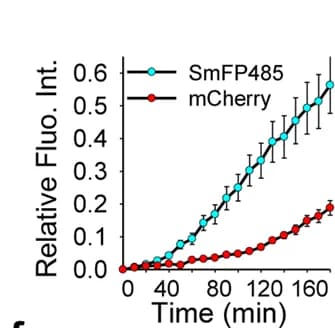 Open access visualization of Line Plot, Error Bars, SmFP485 Fluorescence, mCherry Fluorescence, Light-Induced Protein Expression