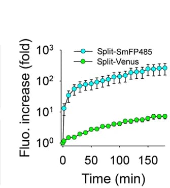 Open access visualization of Line Plot, Error Bars, SmFP485 Fluorescence, Venus Fluorescence, Rapamycin-Induced Interaction