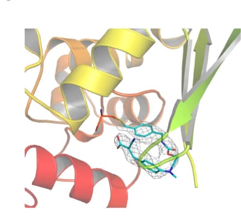 Open access visualization of Protein Structure, Chemical Structure, F485, Electron Density Map, Protein Model