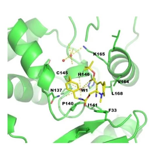 Open access visualization of Protein Structure, Chemical Structure, F485, Binding Pocket, Hydrogen Bonds