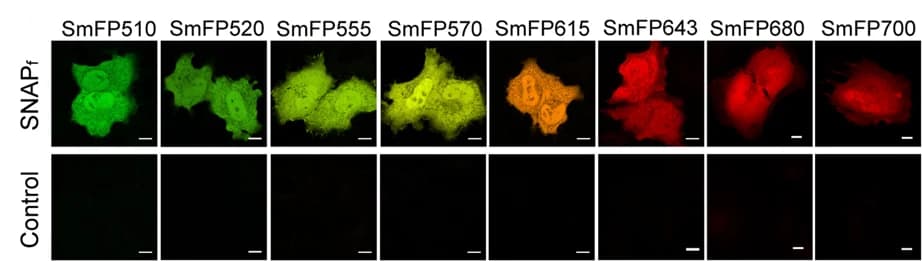Open access visualization of Microscopy, Live Cell Imaging, SmFPs, Cells