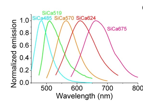Open access visualization of Line Plot, Density Plot, Emission spectrum, Calcium