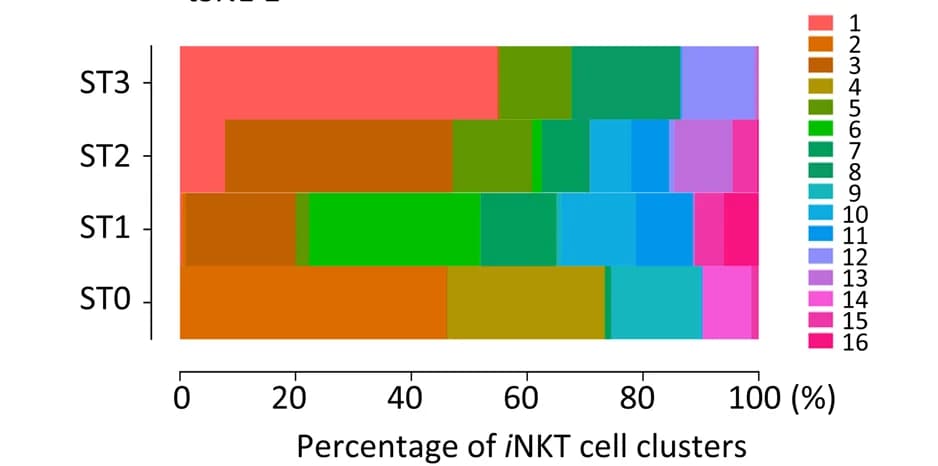 Open access visualization of Stacked Bar Plot, Clusters, NKT Cells, ST0, ST1