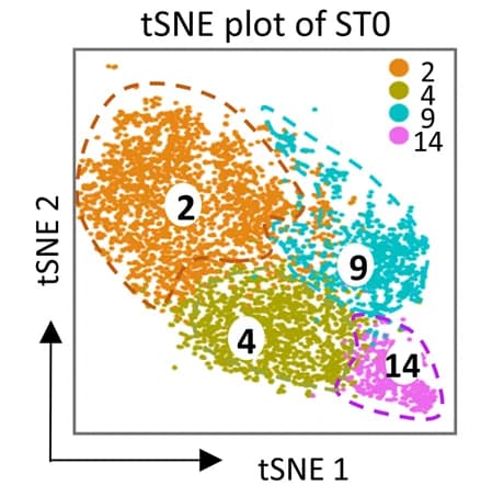 Open access visualization of Scatter Plot, UMAP, PCA, t-SNE Plots, scRNA-seq Dataset