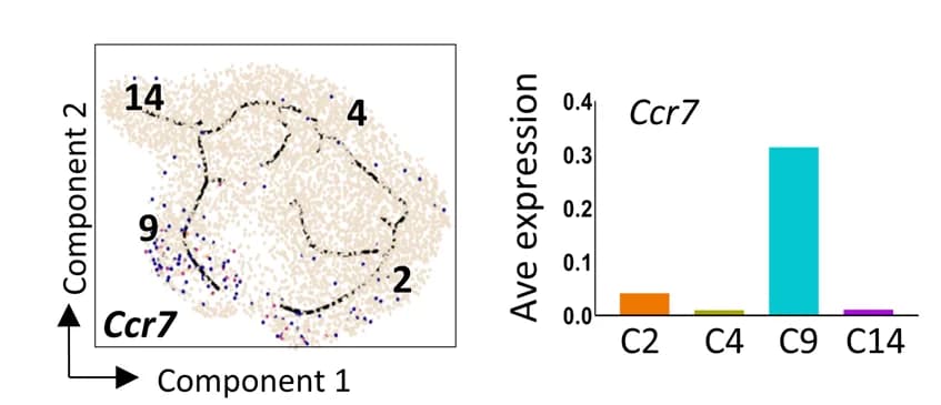 Open access visualization of Scatter Plot, Bar Plot, Pseudotime Plot, Feature Plots, Single-Cell Gene Expression