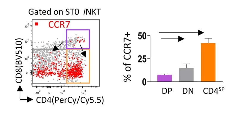 Open access visualization of Scatter Plot, Bar Plot, Error Bars, Flow Plots, Ccr7 Expression