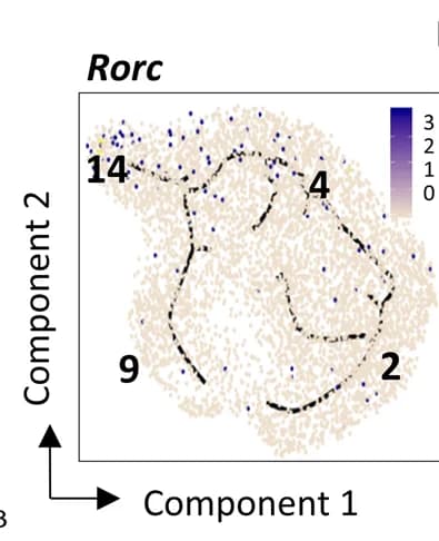 Open access visualization of Scatter Plot, UMAP, Pseudotime Plot, Feature Plots, Single-Cell Gene Expression