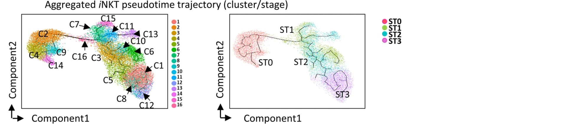 Open access visualization of Scatter Plot, Line Plot, i NKT Cells, Pseudotime, Monocle 3