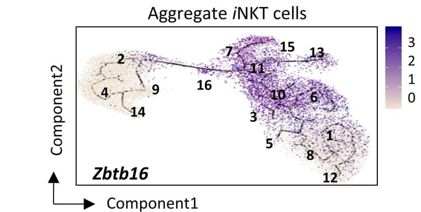 Open access visualization of Scatter Plot, Line Plot, Network, Pseudotime Plot, Single-Cell Gene Expression