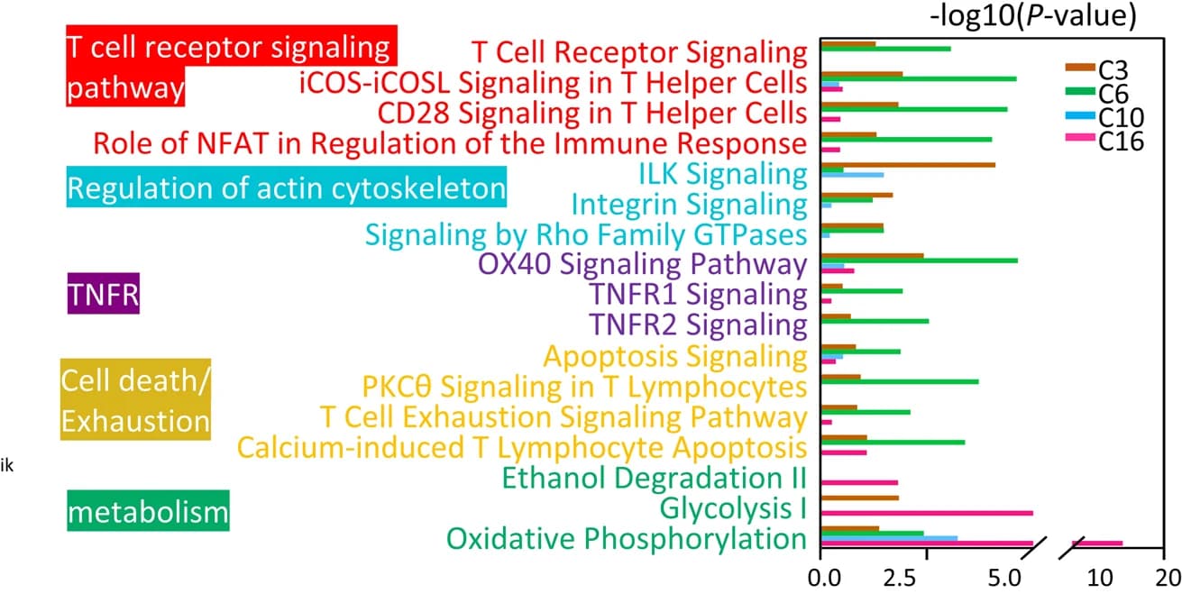 Open access visualization of Bar Plot, DEGs, Clusters, Pathway Enrichment, P Value