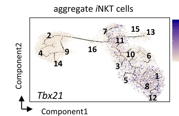 Open access visualization of Scatter Plot, UMAP, Pseudotime plot, Feature plots, Single-cell gene expression