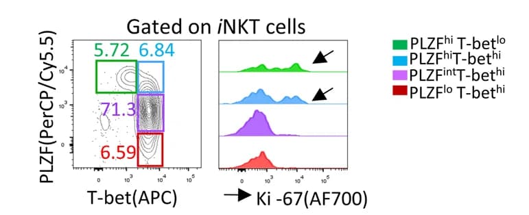 Open access visualization of Scatter Plot, Density Plot, Flow plots, PLZF, T-bet