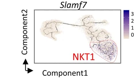Open access visualization of Scatter Plot, UMAP, Pseudotime plot, Feature plots, Single-cell gene expression