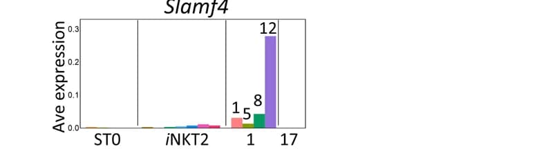 Open access visualization of Bar Plot, Bar graph, Slamf4, Gene expression, i NKT cell clusters