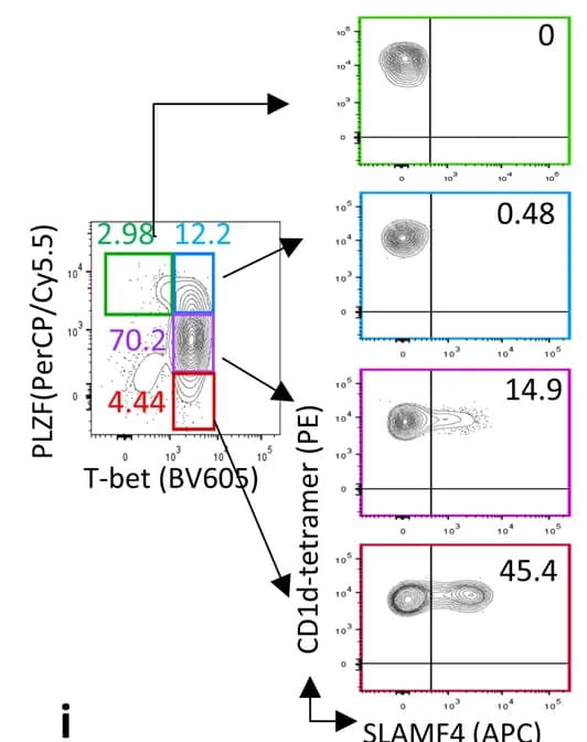 Open access visualization of Scatter Plot, Flow plots, SLAMF4, i NKT2 cells, i NKT1 cells