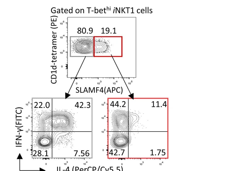 Open access visualization of Scatter Plot, Flow plots, IL-4, IFN-gamma, SLAMF4