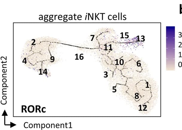 Open access visualization of Scatter Plot, UMAP, Pseudotime plot, Gene expression, Cell development