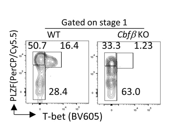 Open access visualization of Scatter Plot, Flow plots, PLZF expression, T-bet expression, i NKT cells