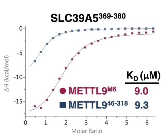 Open access visualization of Line Plot, Scatter Plot, ITC curves, SLC39A5, Wild-type METTL9