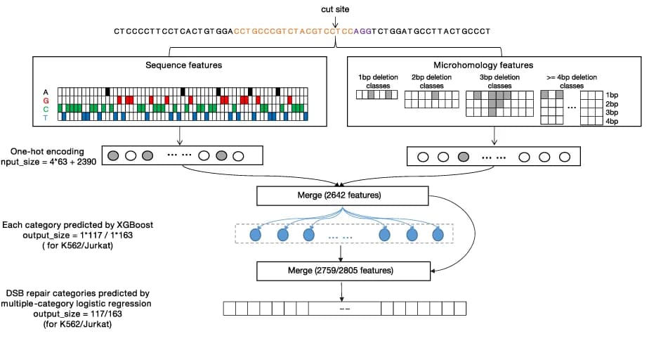 Open access visualization of Workflow, Flowchart, AIdit_DSB Models, Repair Outcome Prediction, SpCas9