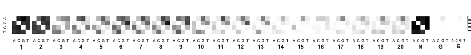 Open access visualization of Heatmap, Indel frequencies, Off-targets, Mismatches