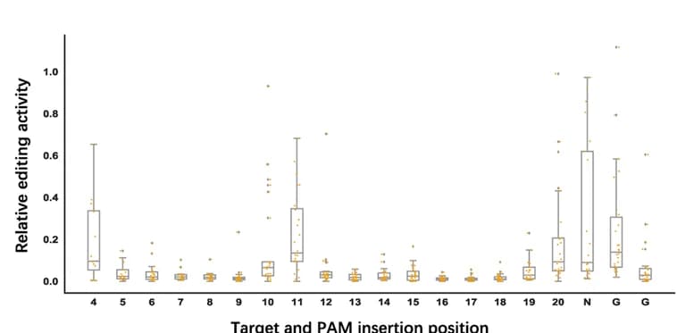 Open access visualization of Box Plot, Scatter Plot, Insertion position, Off-target sequences, Bulges