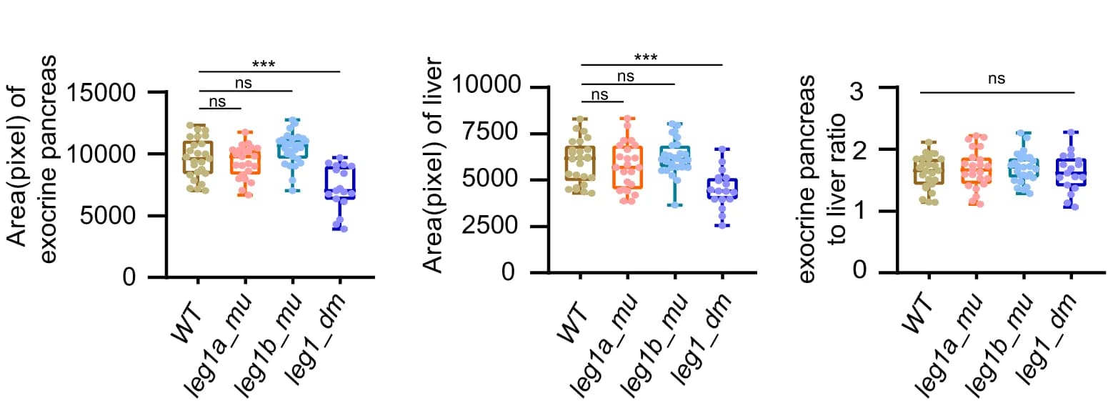 Open access visualization of Box Plot, Scatter Plot, Statistical analysis, Exocrine pancreas, Liver
