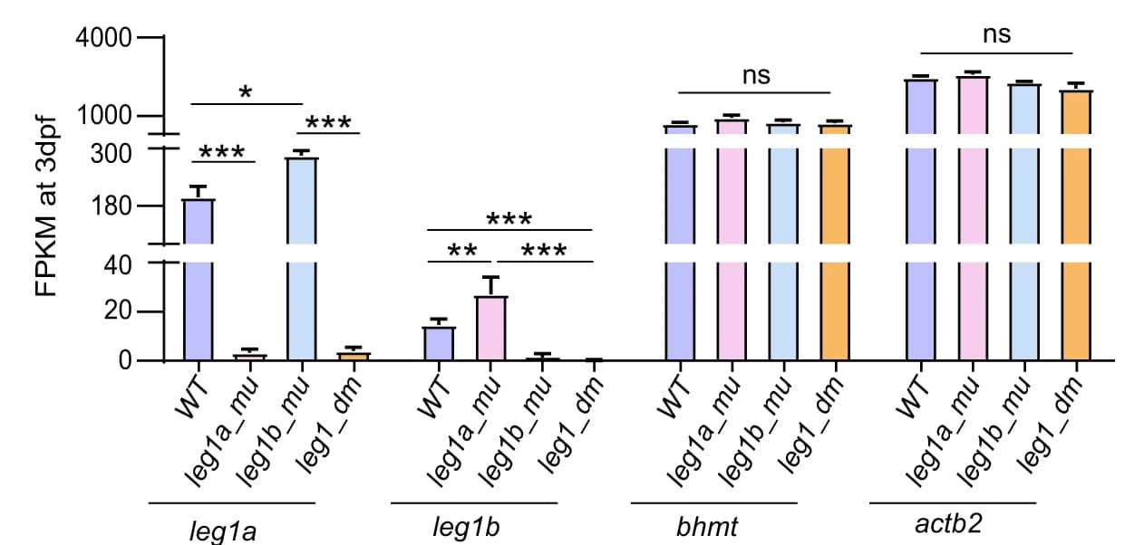 Open access visualization of Bar Plot, Error Bars, Statistical Analysis, Transcript Counts, RNA-seq