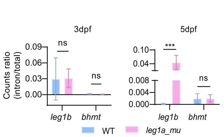 Open access visualization of Bar Plot, Error Bars, Clustered, Statistical Analysis, leg1b transcripts
