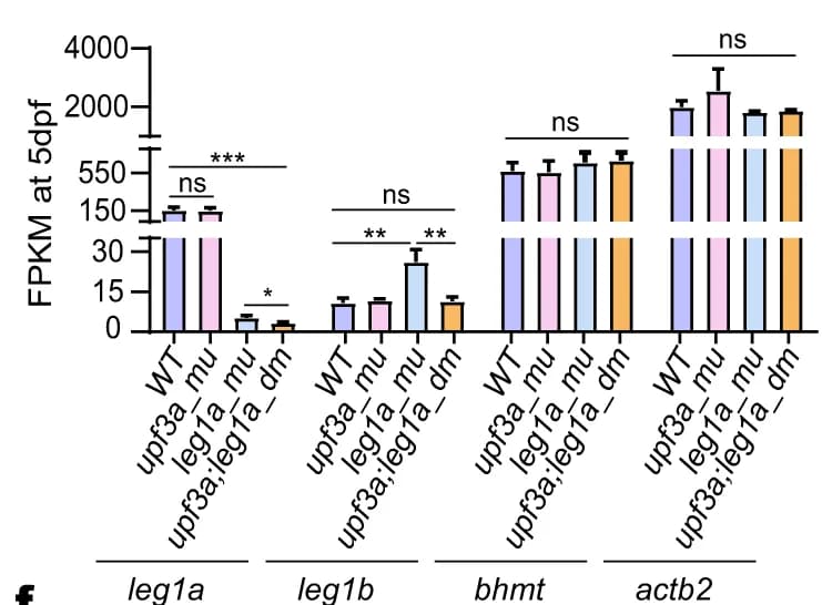 Open access visualization of Bar Plot, Error Bars, Statistical Analysis, Transcript Counts, RNA-seq